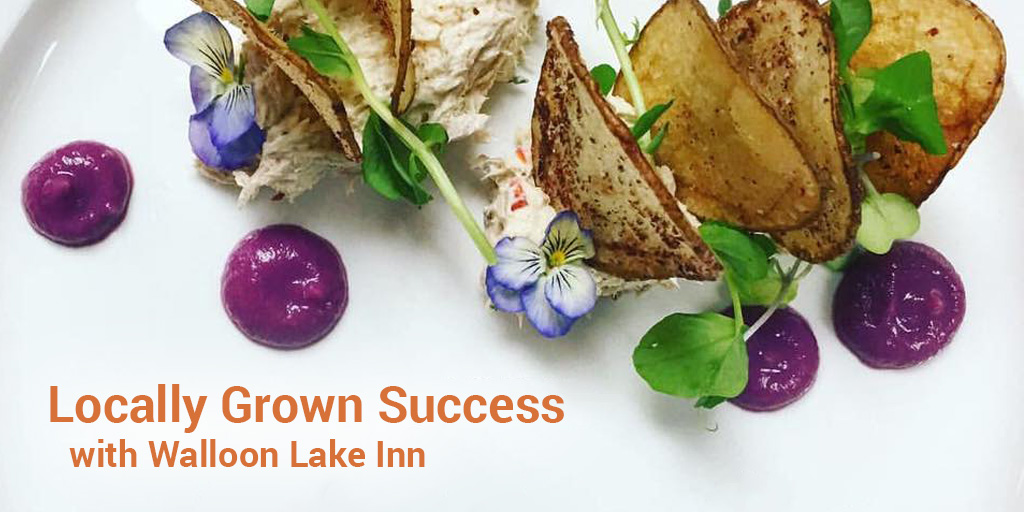 Locally Grown Success with Walloon Lake Inn